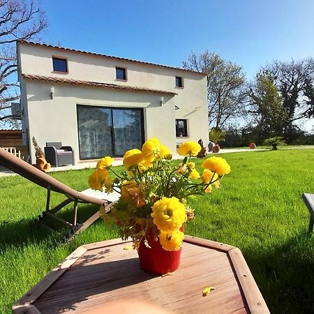 Villa Sandrine, Confortable Et Cosy Proche D'Aix En Provence Meyrargues Ngoại thất bức ảnh
